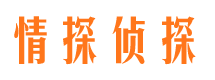 大化市私家侦探